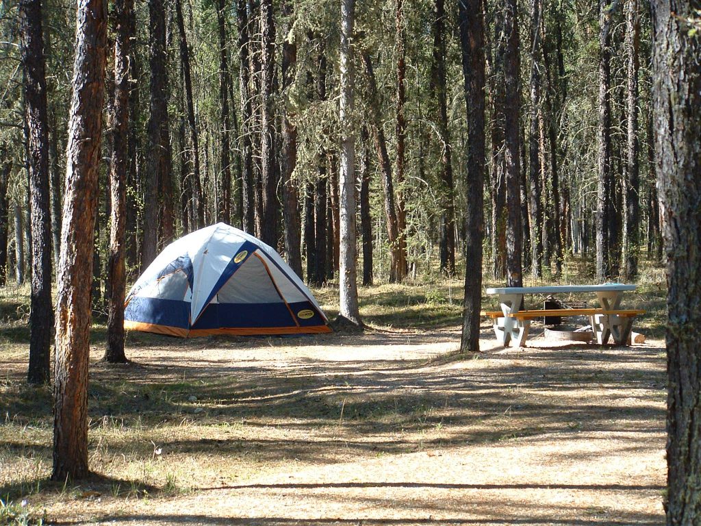 A tent pitched in the forest in Queen Elizabeth Territorial Park