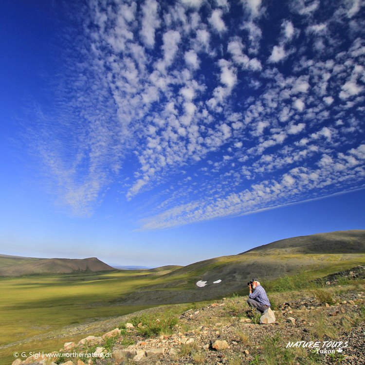 Nature Tours of Yukon Spectacular NWT