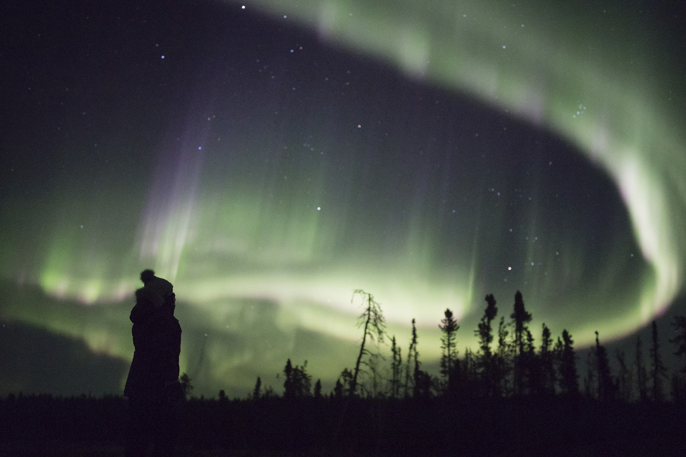 Sean Norman Aurora Chaser tourist gazing at the dark sky with the swirling aurora northern lights in Yellowknife, Northwest Territories, Canada.