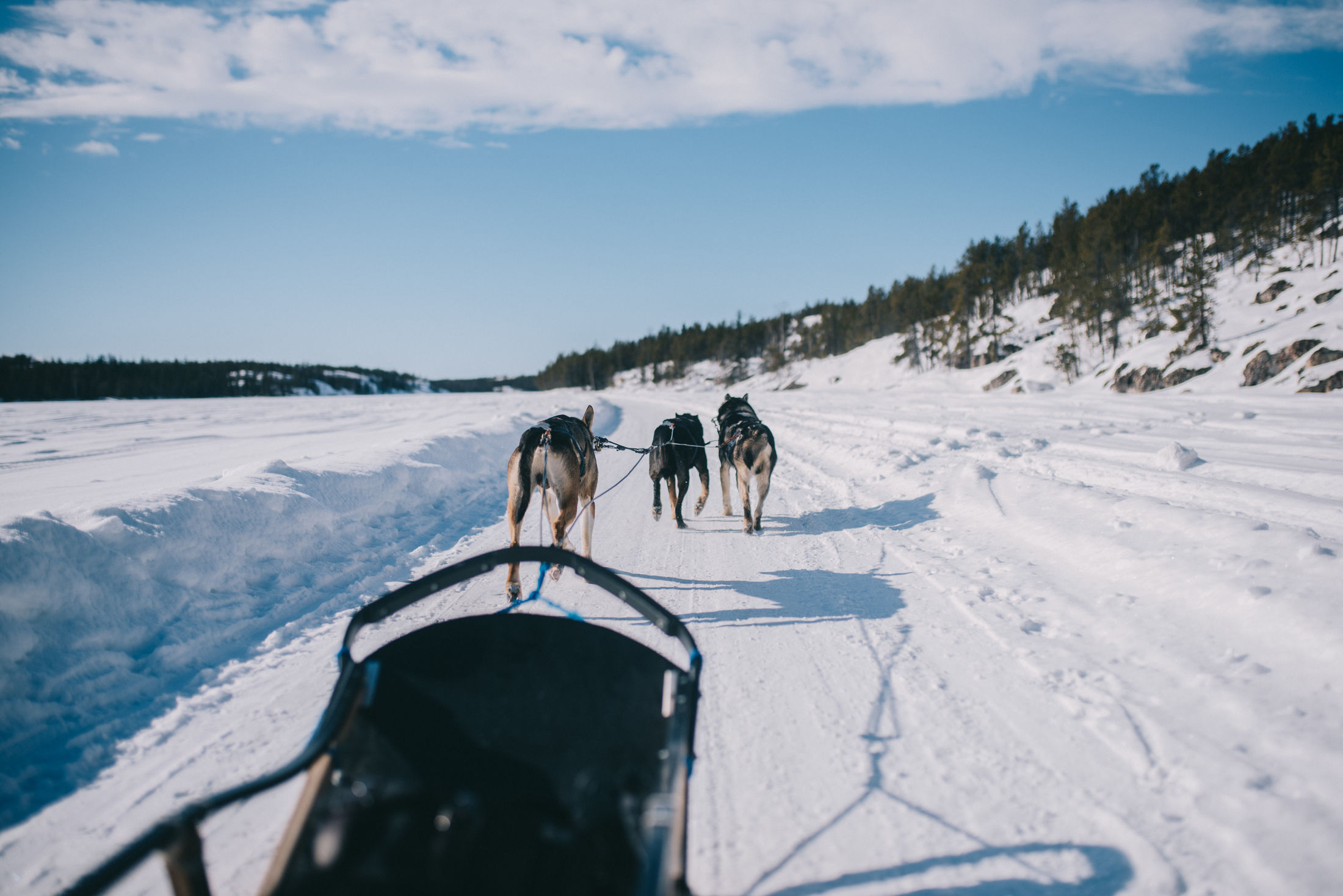 Dogsledding adventuree int ehNWT. Image Vincent Ret.