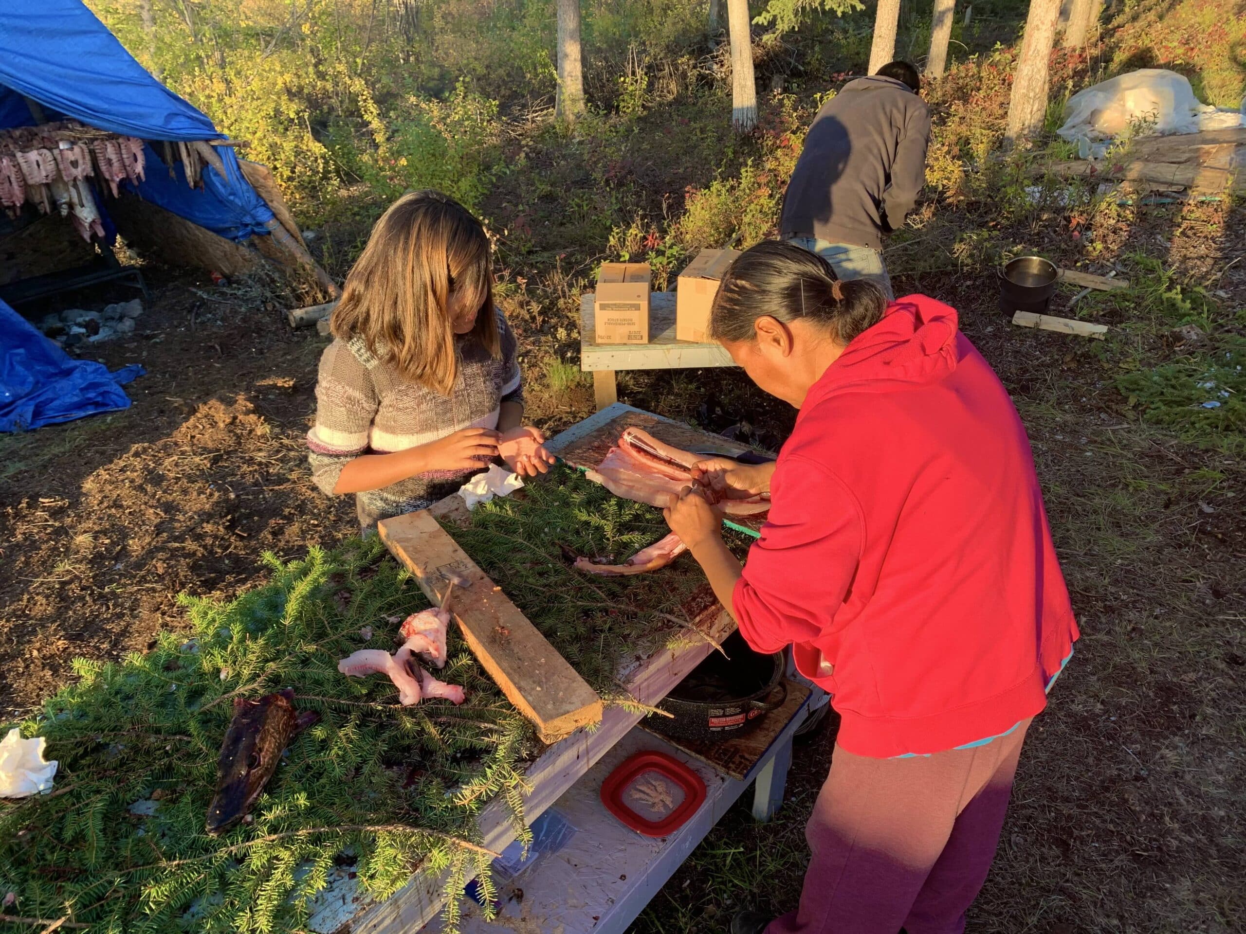 Image related to Dehcho Dene Cultural Experience – Summer Indigenous Expedition