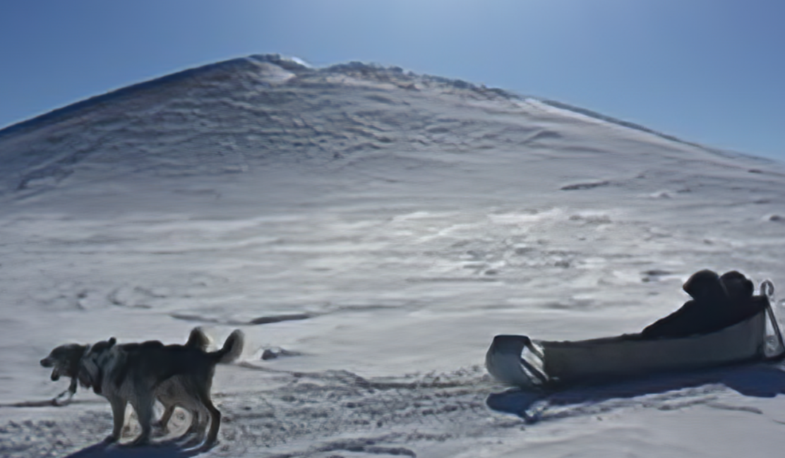 Noksana Mushing Tours_Dogsledding_Package1_2026_western Arctic